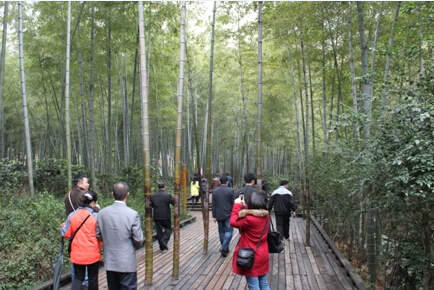 司能经销商&bull;供应商游览南山竹海