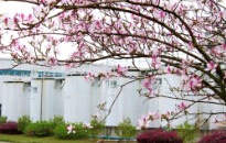 龙城四月天，最美在司能